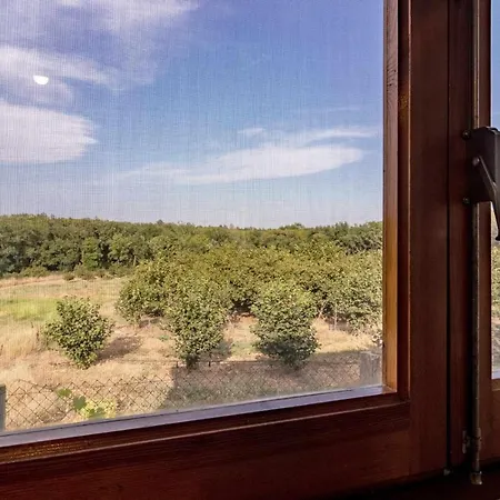 Сasa de vacaciones Pons De Dalt A La Selva