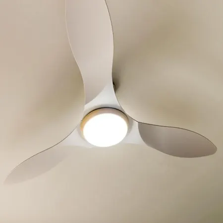 Pons De Dalt A La Selva *