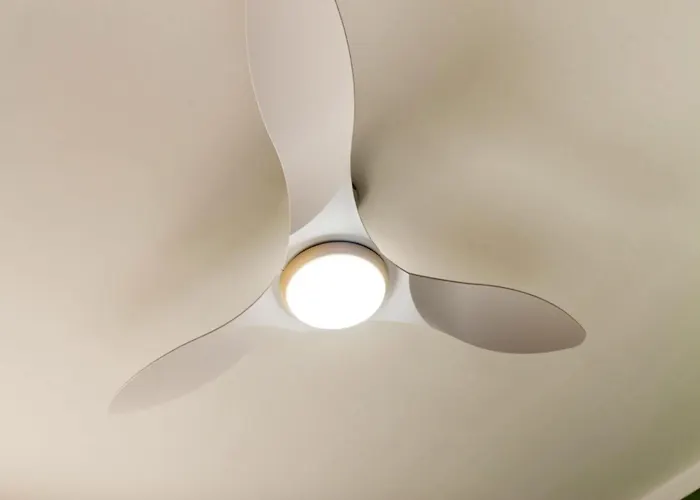 Pons De Dalt A La Selva *