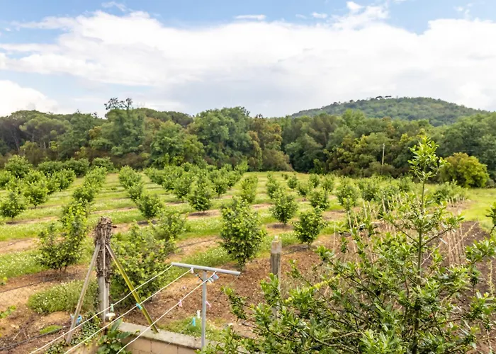 Nyaraló Pons De Dalt A La Selva