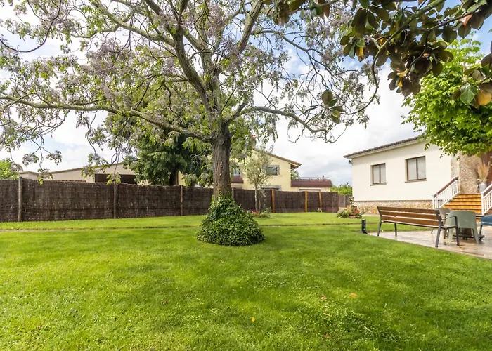 Pons De Dalt A La Selva *