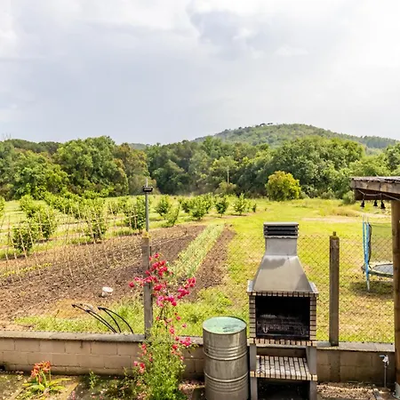 Pons De Dalt A La Selva *