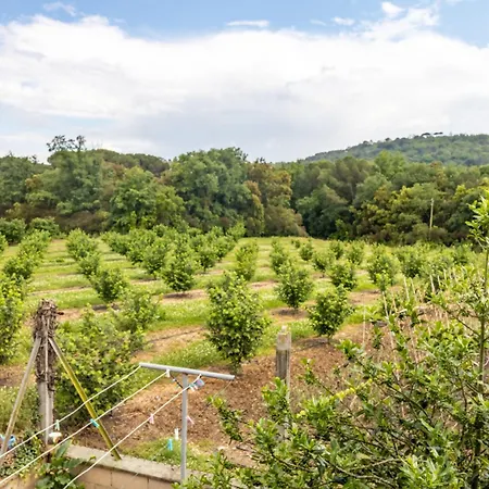 Tatil Evi Pons De Dalt A La Selva