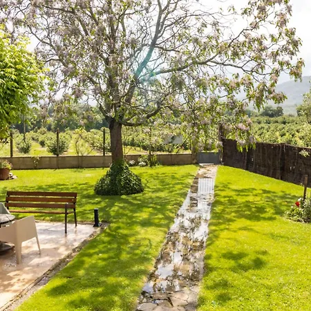Pons De Dalt A La Selva Tatil Evi *